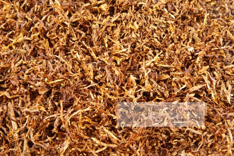 Stock Photo: Tobacco - by Kathy Burns-Millyard