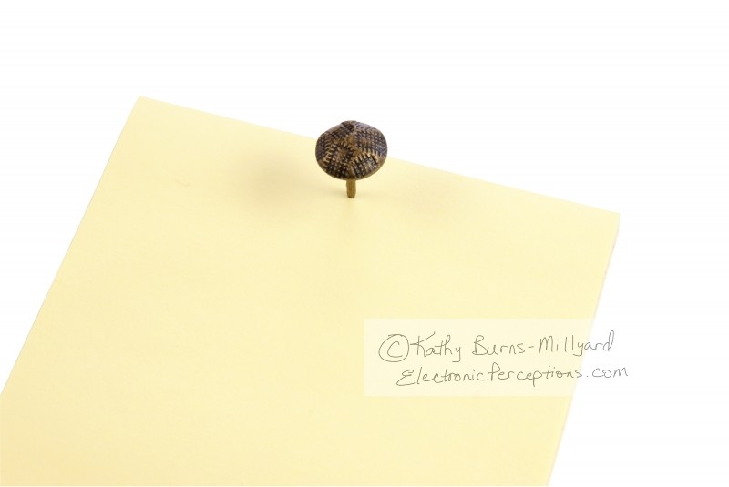 Stock Photo: Yellow Notes - by Kathy Burns-Millyard