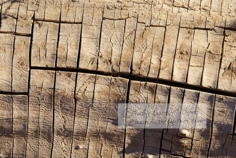 Stock Photo: Old Wood - by Kathy Burns-Millyard