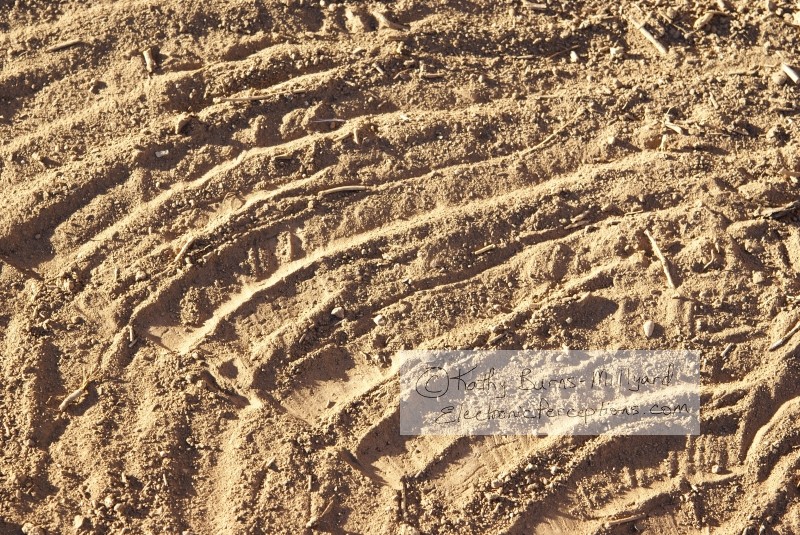 Stock Photo: Dirt Swirls - by Kathy Burns-Millyard