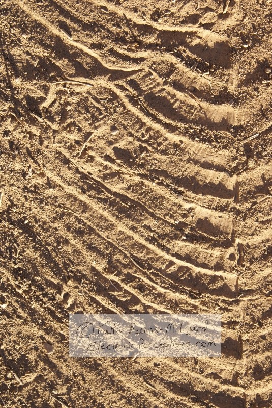 Stock Photo: Dirt Swirls - by Kathy Burns-Millyard