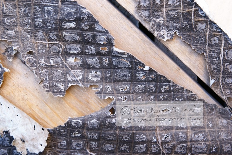 Stock Photo: Abstract Background - by Kathy Burns-Millyard