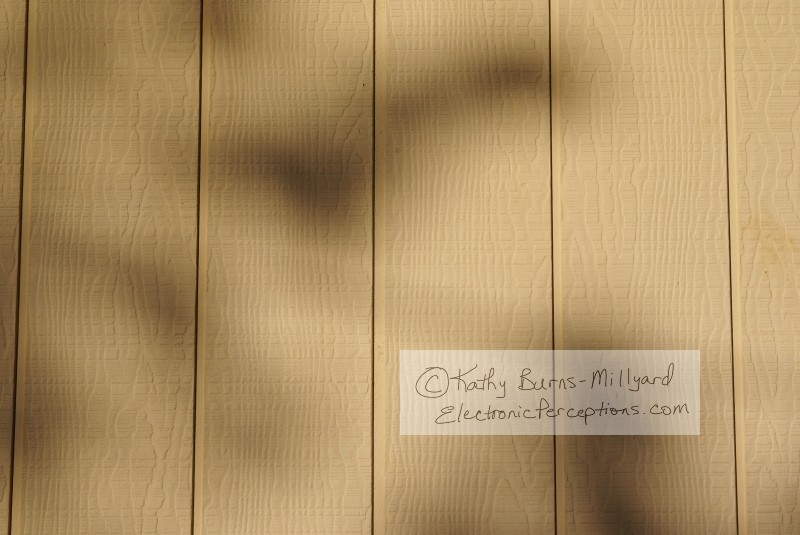 Stock Photo: Shadow Play - by Kathy Burns-Millyard