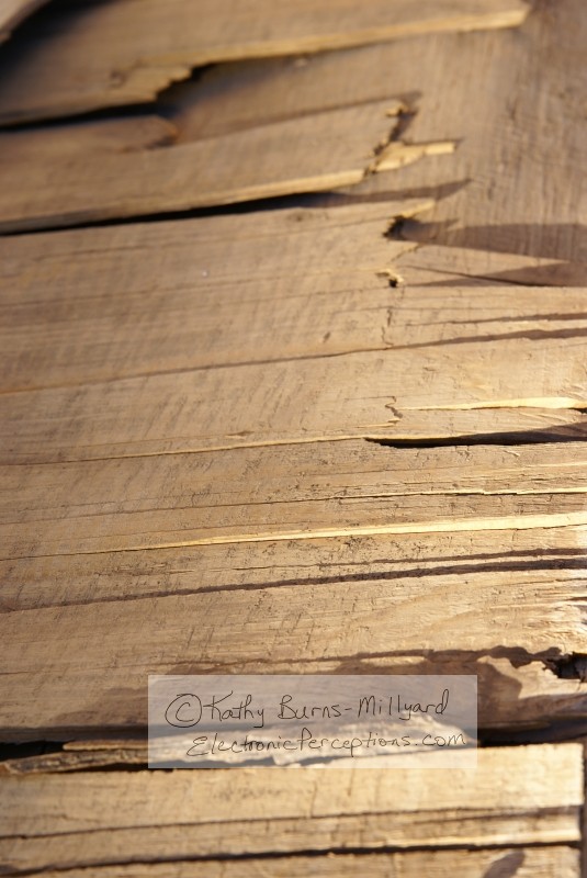 Stock Photo: Old Wood - by Kathy Burns-Millyard