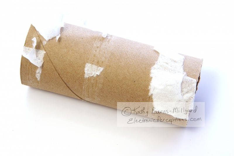 Stock Photo: Empty Toilet Paper - by Kathy Burns-Millyard