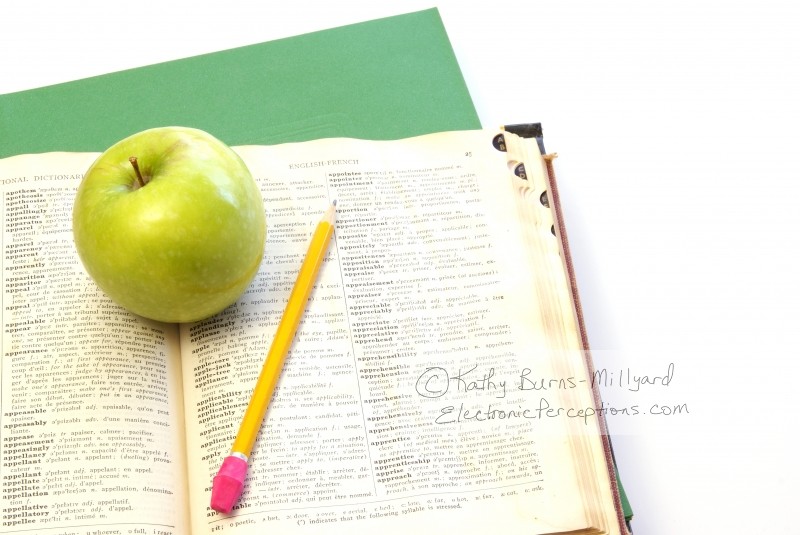 Stock Photo: Studying - by Kathy Burns-Millyard