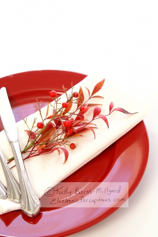 Stock Photo: Red Table Setting - by Kathy Burns-Millyard