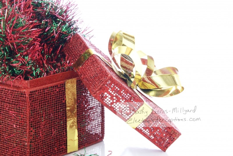 Stock Photo: Red Holiday Gift Box - by Kathy Burns-Millyard