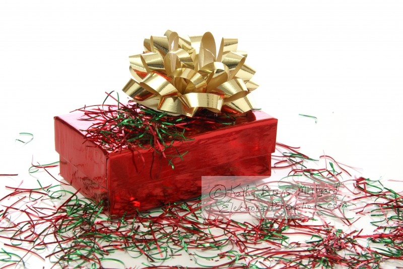 Stock Photo: Christmas Gift - by Kathy Burns-Millyard