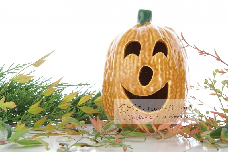 Stock Photo: Halloween Decor - by Kathy Burns-Millyard