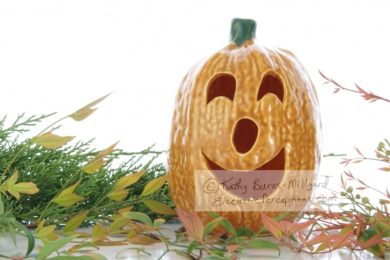 Stock Photo: Halloween Decor 2 - by Kathy Burns-Millyard