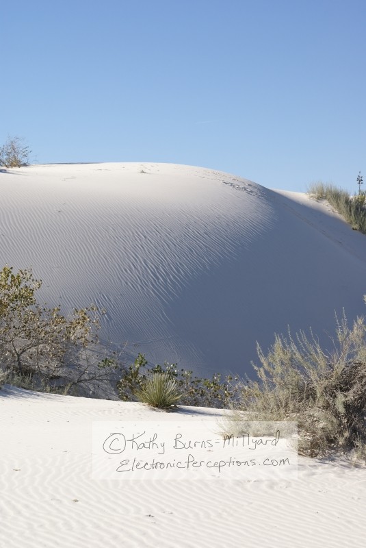 Stock Photo: White Sand Dune - by Kathy Burns-Millyard