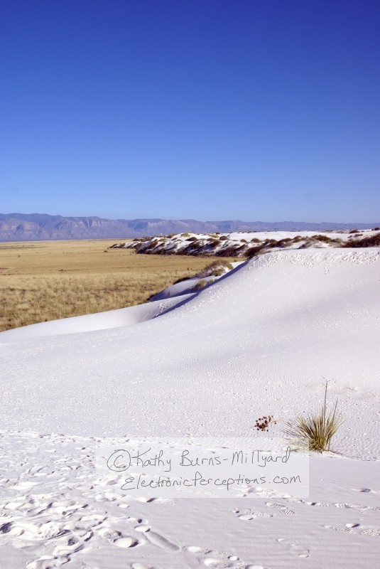 Stock Photo: Rolling Sand Dunes - by Kathy Burns-Millyard