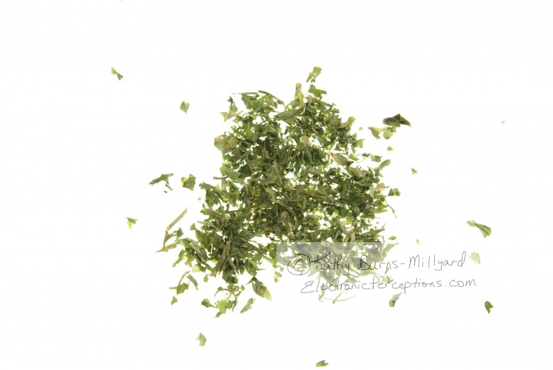Stock Photo: Dried Parsley - by Kathy Burns-Millyard