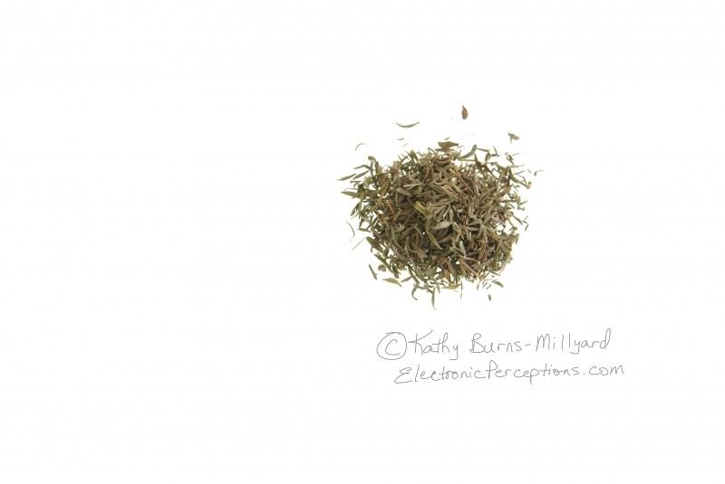 Stock Photo: Dried Thyme - by Kathy Burns-Millyard