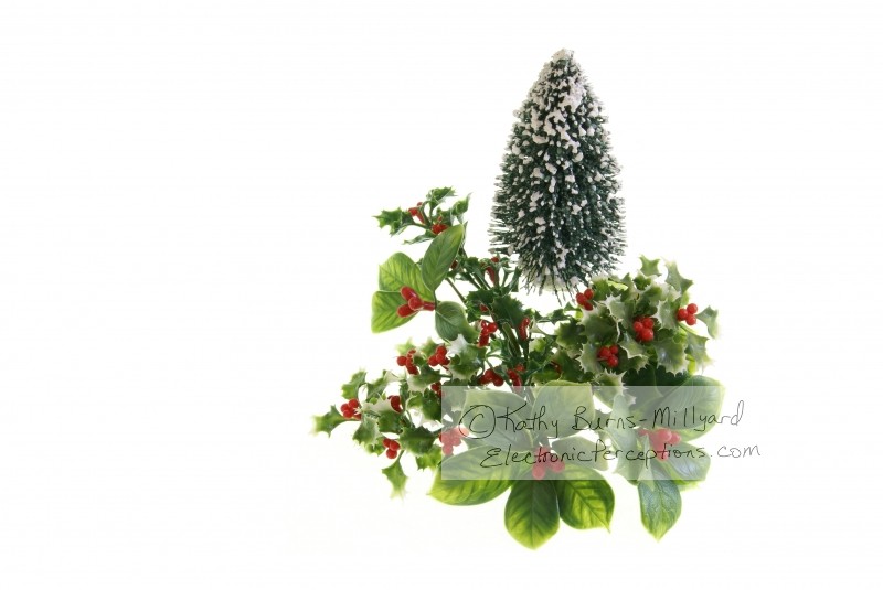 Stock Photo: Winter Decor - by Kathy Burns-Millyard