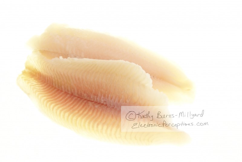 Stock Photo: Catfish Fillets - by Kathy Burns-Millyard