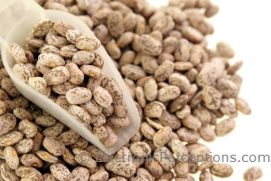Stock Photo: Pinto Beans - by Kathy Burns-Millyard