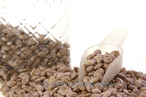 Stock Photo: Pinto Beans - by Kathy Burns-Millyard