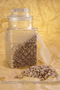 Stock Photo: Pinto Beans - by Kathy Burns-Millyard