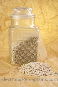 Stock Photo: White Northern Beans - by Kathy Burns-Millyard