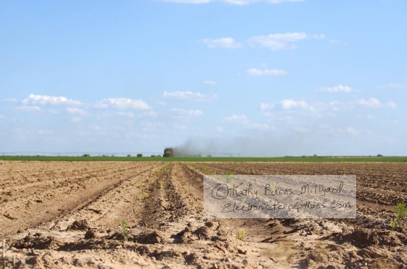 Stock Photo: Farm Field - by Kathy Burns-Millyard