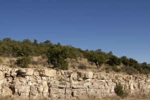 Stock Photo: Trees on Cliff - by Kathy Burns-Millyard