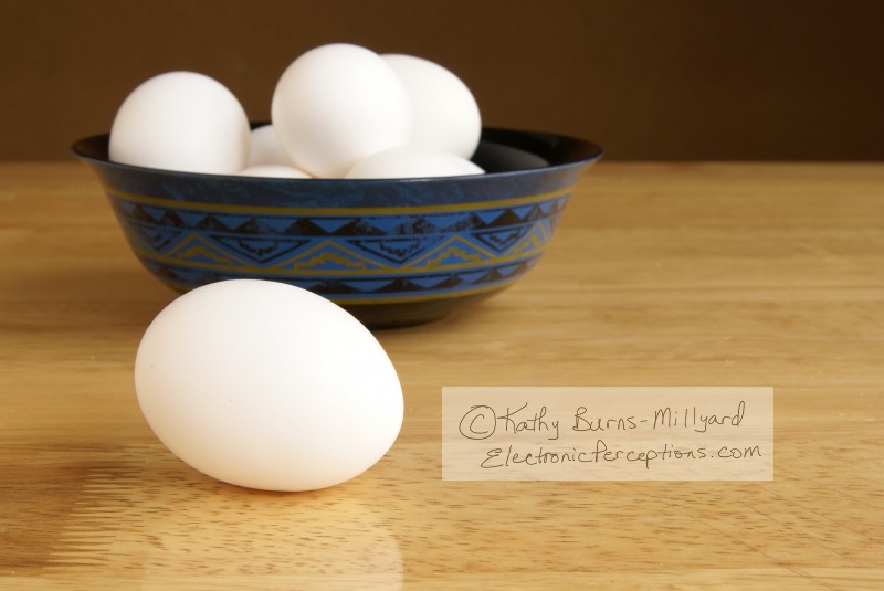 Stock Photo: White Egg - by Kathy Burns-Millyard