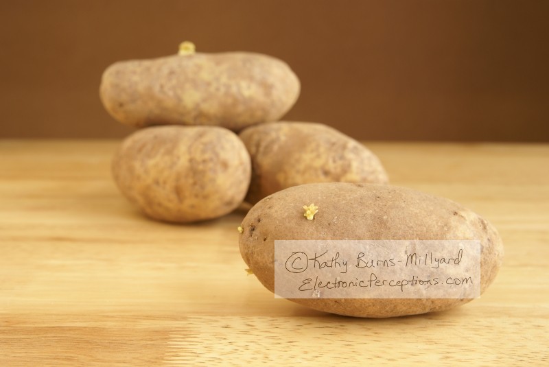 Stock Photo: Raw Potatoes - by Kathy Burns-Millyard