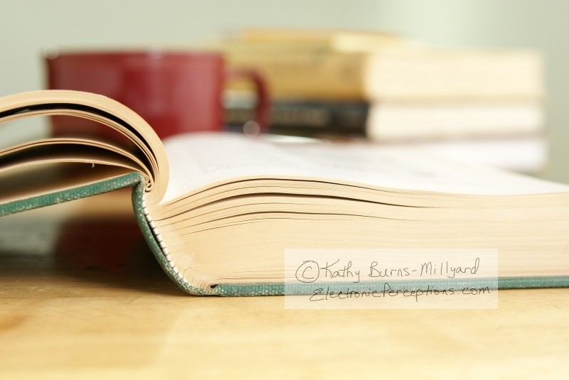 Stock Photo: Open Book - by Kathy Burns-Millyard
