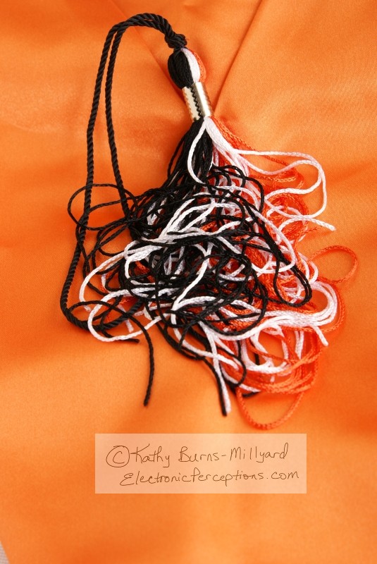 Stock Photo: Scattered Graduation Tassel - by Kathy Burns-Millyard