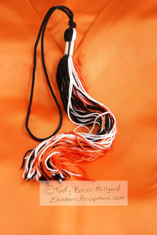 Stock Photo: Graduation Tassel - by Kathy Burns-Millyard