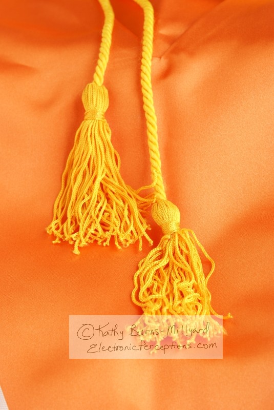 Stock Photo: Two Gold Tassels - by Kathy Burns-Millyard