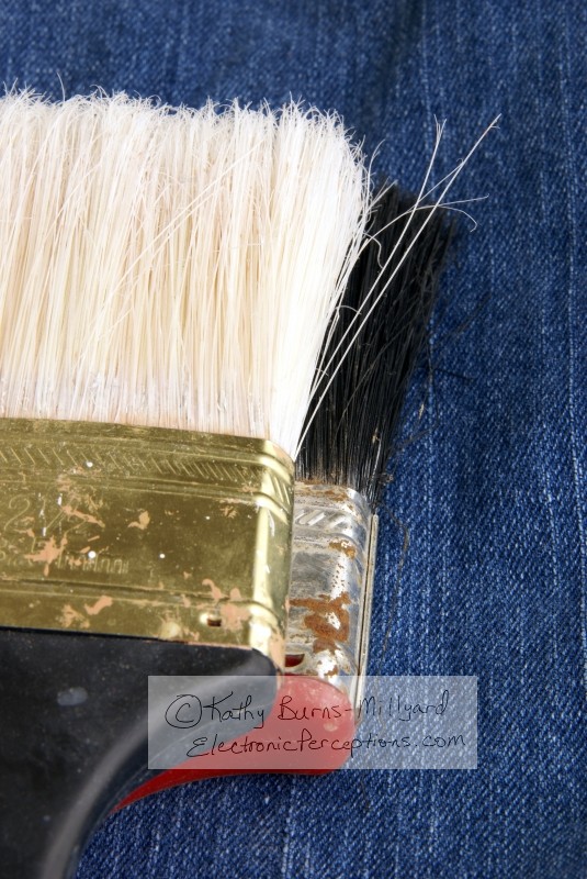 Stock Photo: Two Paintbrush Heads - by Kathy Burns-Millyard