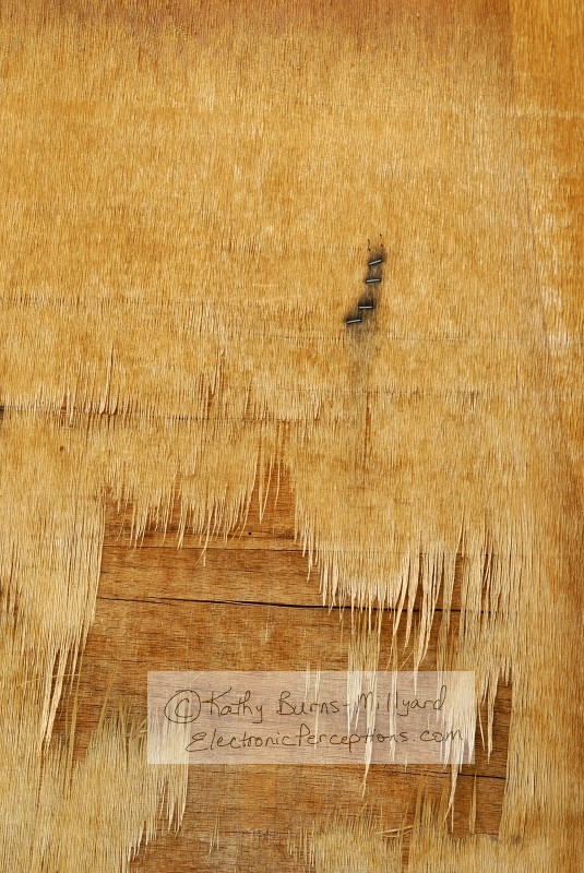 Stock Photo: Peeling Wood - by Kathy Burns-Millyard