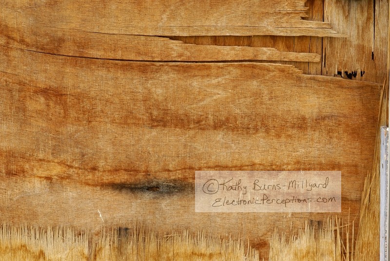 Stock Photo: Peeling Wood - by Kathy Burns-Millyard