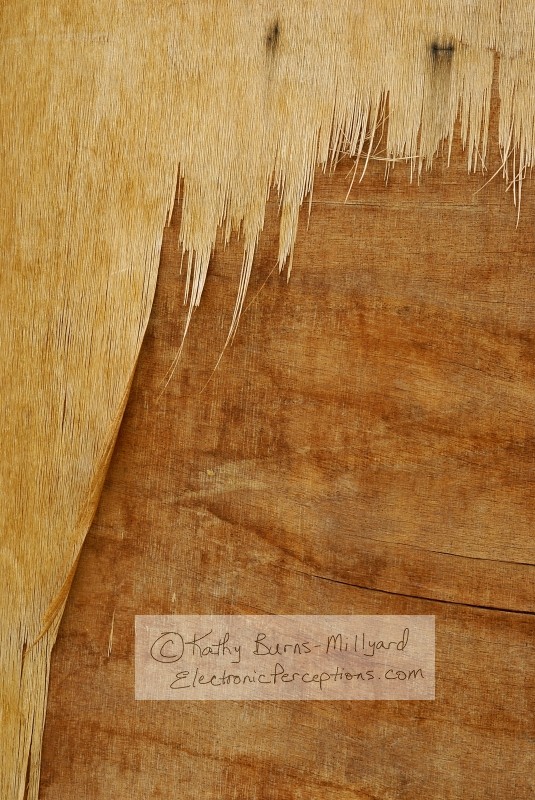 Stock Photo: Peeling Wood - by Kathy Burns-Millyard