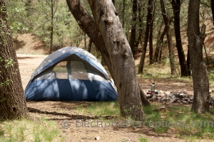Stock Photo: Tent Camping - by Kathy Burns-Millyard