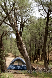 Stock Photo: Forest Camping - by Kathy Burns-Millyard