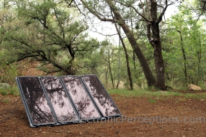 Stock Photo: Solar In The Forest - by Kathy Burns-Millyard