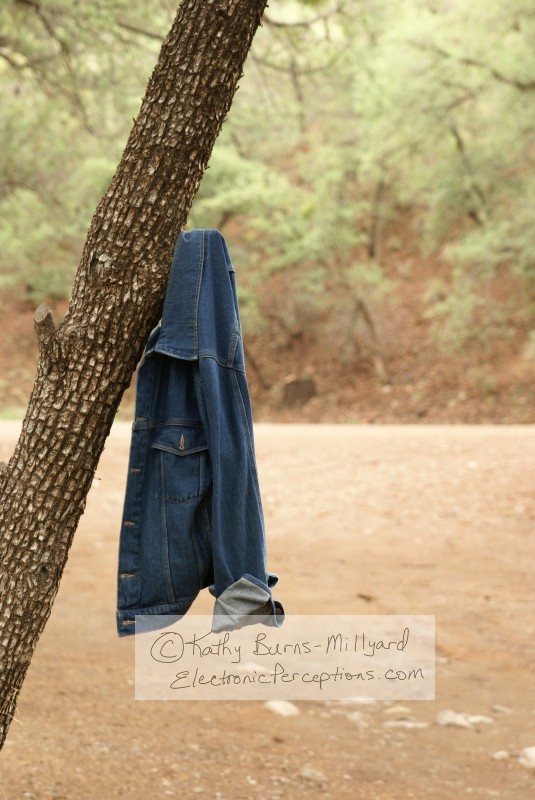 Stock Photo: Jean Jacket - by Kathy Burns-Millyard