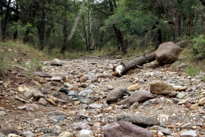Stock Photo: Dry Stream Bed - by Kathy Burns-Millyard