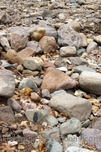 Royalty Free Image: Stones Background