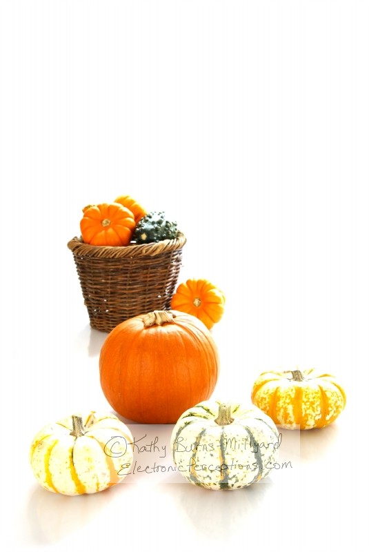 Stock Photo: Autumn Harvest - by Kathy Burns-Millyard