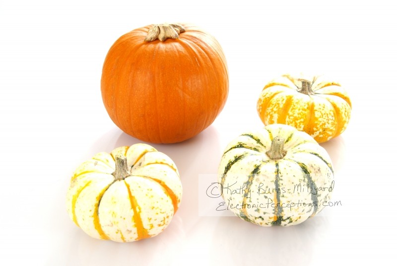 Stock Photo: Pumpkins - by Kathy Burns-Millyard
