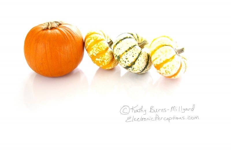 Stock Photo: Pumpkins - by Kathy Burns-Millyard