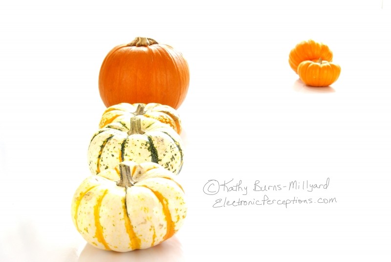 Stock Photo: Pumpkins - by Kathy Burns-Millyard