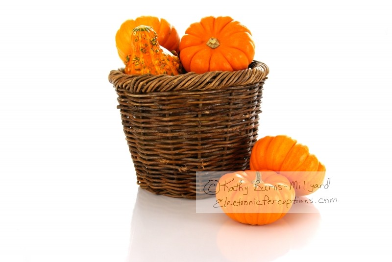 Stock Photo: Pumpkins in a Basket - by Kathy Burns-Millyard