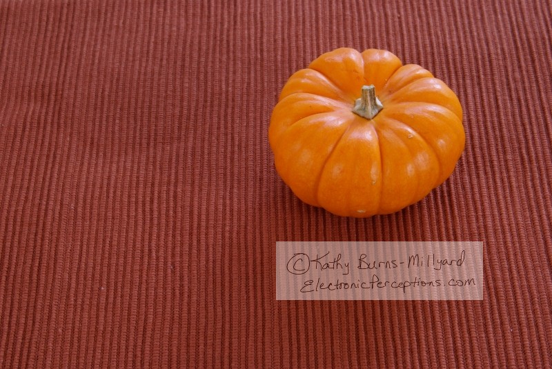 Stock Photo: Pumpkins - by Kathy Burns-Millyard