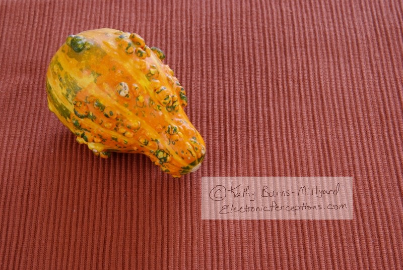 Stock Photo: Orange Gourd - by Kathy Burns-Millyard